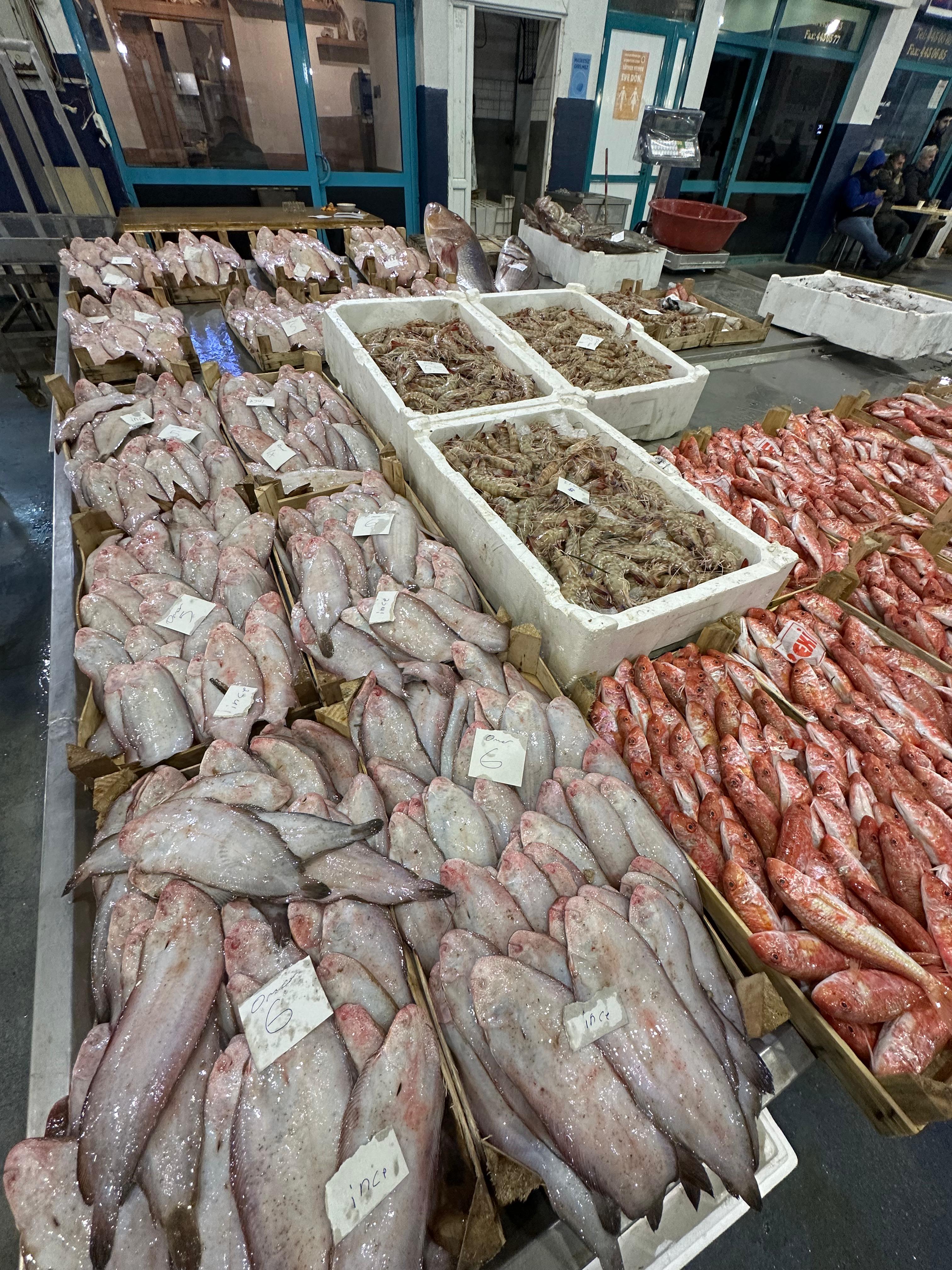 Okyanus Balıkçılık 